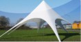 /album/fotogaleria/carpa-ara%c3%b1a-2-jpg1/